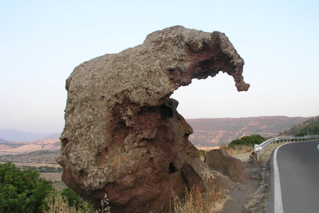 Casa Gallinelle Sarde Castelsardo Dış mekan fotoğraf
